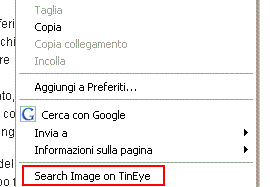 La finzione "search" aggiunta dal plugin di TinEye